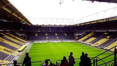 فيروس كورونا